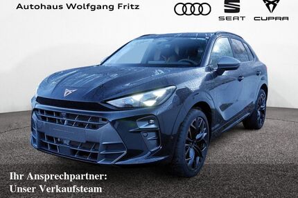 Cupra Terramar Gebrauchtwagen