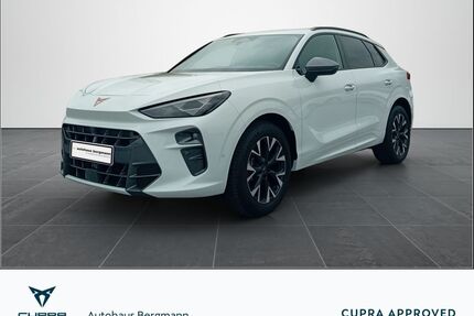 Cupra Terramar Gebrauchtwagen