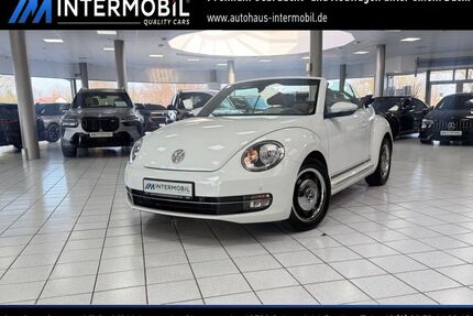 VW Beetle Gebrauchtwagen