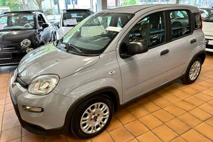 Fiat Panda Gebrauchtwagen