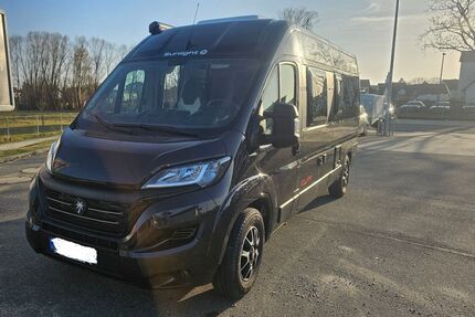 Fiat Ducato Gebrauchtwagen