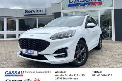 Ford Kuga Gebrauchtwagen