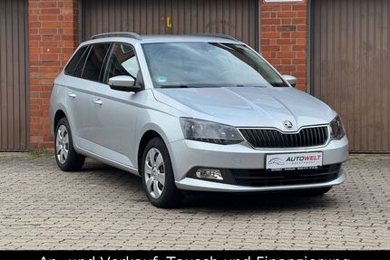 Skoda Fabia Gebrauchtwagen