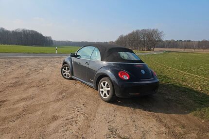 VW New Beetle Gebrauchtwagen