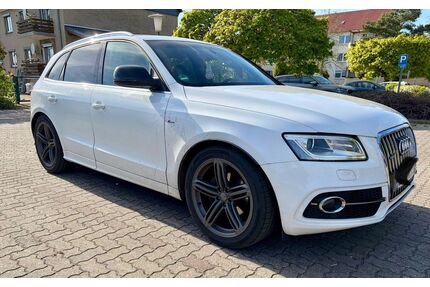 Audi Q5 Gebrauchtwagen
