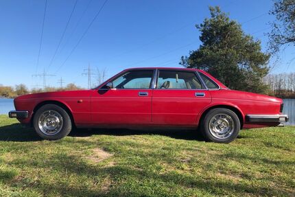 Jaguar XJ6 Gebrauchtwagen