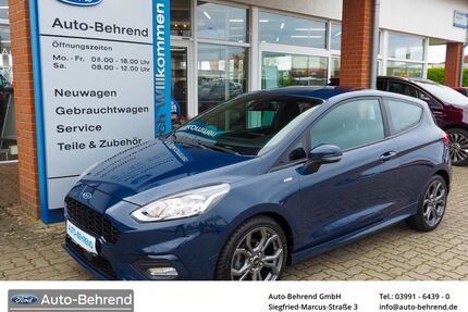 Ford Fiesta Gebrauchtwagen