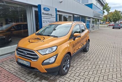 Ford EcoSport Gebrauchtwagen
