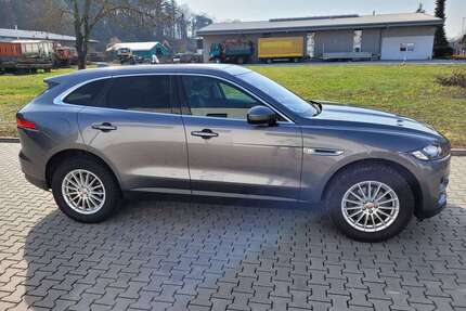 Jaguar F-Pace Gebrauchtwagen