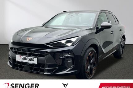 Cupra Terramar Gebrauchtwagen