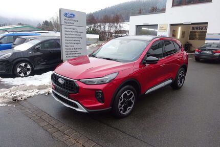 Ford Kuga Gebrauchtwagen