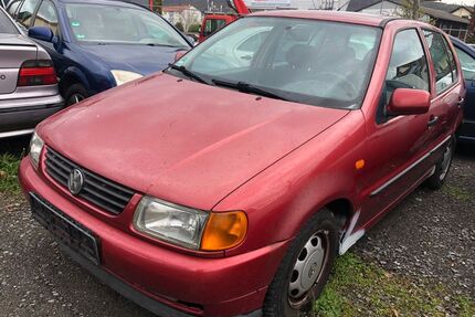 VW Polo Gebrauchtwagen