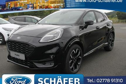 Ford Puma Gebrauchtwagen