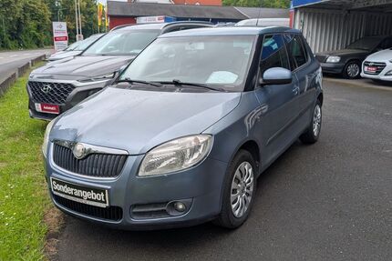 Skoda Fabia Gebrauchtwagen