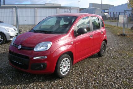 Fiat Panda Gebrauchtwagen