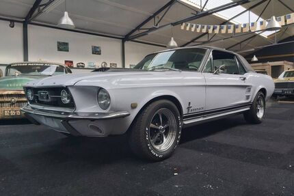 Ford Mustang Gebrauchtwagen