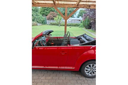 VW Beetle Gebrauchtwagen