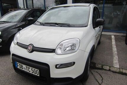 Fiat Panda Gebrauchtwagen