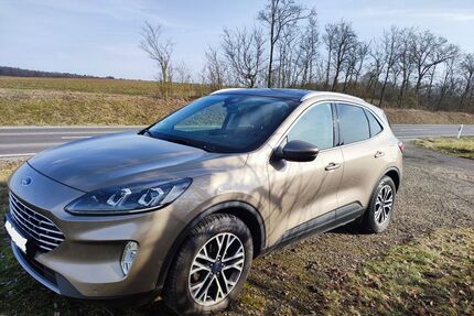 Ford Kuga Gebrauchtwagen