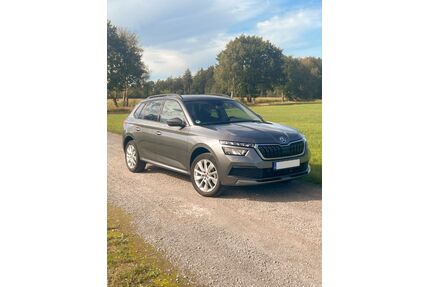 Skoda Kamiq Gebrauchtwagen