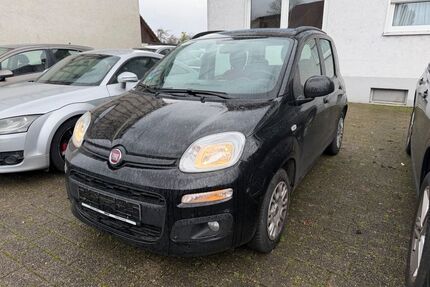 Fiat Panda Gebrauchtwagen