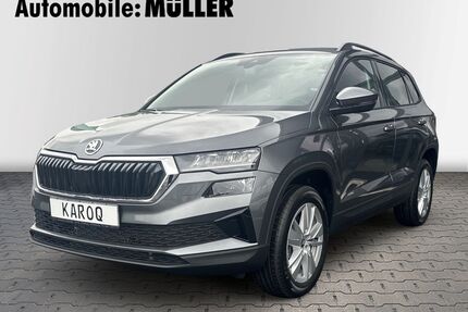 Skoda Karoq Gebrauchtwagen