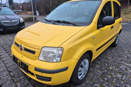 Fiat Panda Gebrauchtwagen