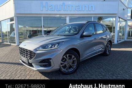 Ford Kuga Gebrauchtwagen