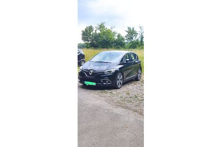 Renault Scenic Gebrauchtwagen
