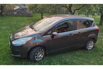 Ford B-Max Gebrauchtwagen