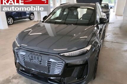 Audi Q6 e-tron Gebrauchtwagen
