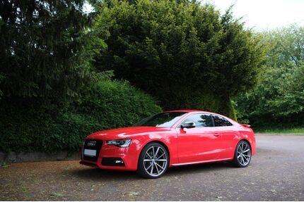Audi A5 Gebrauchtwagen