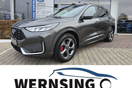 Ford Kuga Gebrauchtwagen