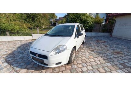 Fiat Punto Gebrauchtwagen