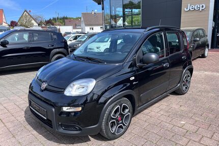Fiat Panda Gebrauchtwagen