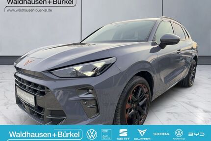 Cupra Terramar Gebrauchtwagen
