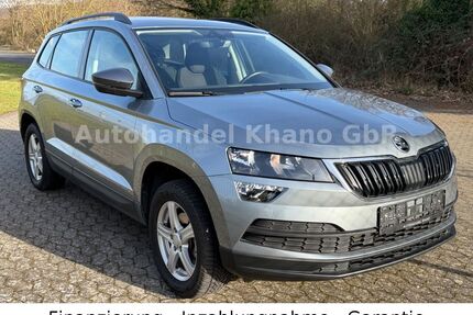 Skoda Karoq Gebrauchtwagen