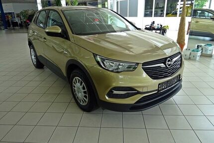 Opel Grandland (X) Gebrauchtwagen