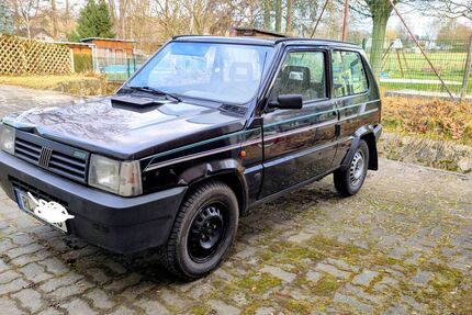 Fiat Panda Gebrauchtwagen