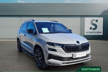 Skoda Karoq Gebrauchtwagen