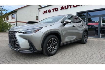 Lexus NX 450h Gebrauchtwagen