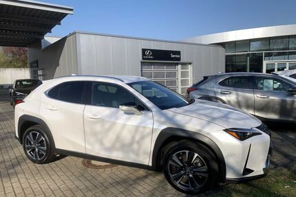 Lexus UX Gebrauchtwagen
