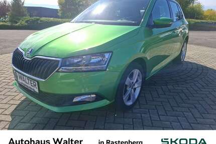 Skoda Fabia Gebrauchtwagen