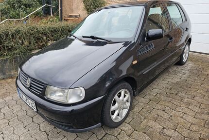 VW Polo Gebrauchtwagen