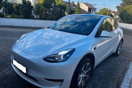 Tesla Model Y Gebrauchtwagen