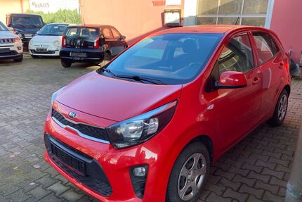 Kia Picanto Gebrauchtwagen