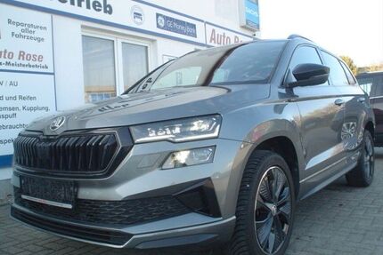 Skoda Karoq Gebrauchtwagen