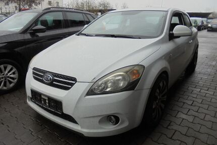 Kia ceed / Ceed Gebrauchtwagen