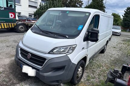 Fiat Ducato Gebrauchtwagen