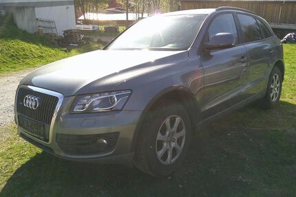 Audi Q5 Gebrauchtwagen